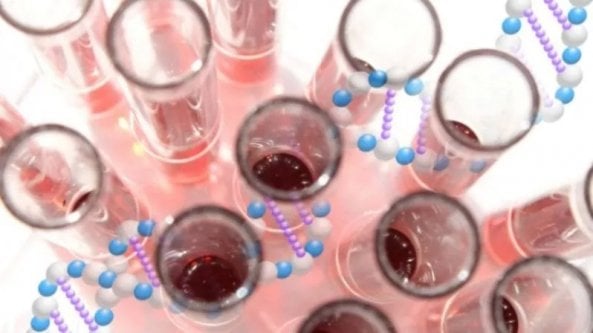 Tumore seno, oncologi: “Urgente sbloccare 20 milioni di euro per test genomici gratuiti in tutte le regioni”