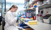I nuovi nanoanticorpi sono efficaci anche contro le mutazioni del covid