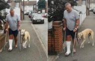 Il proprietario ha la gamba ingessata e il cane inizia a zoppicare: 