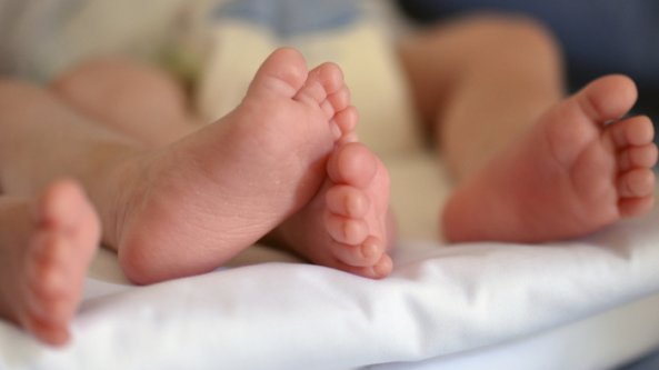 Nomi più diffusi a Bologna, il Comune fa anche la classifica degli stranieri e il web si ribella