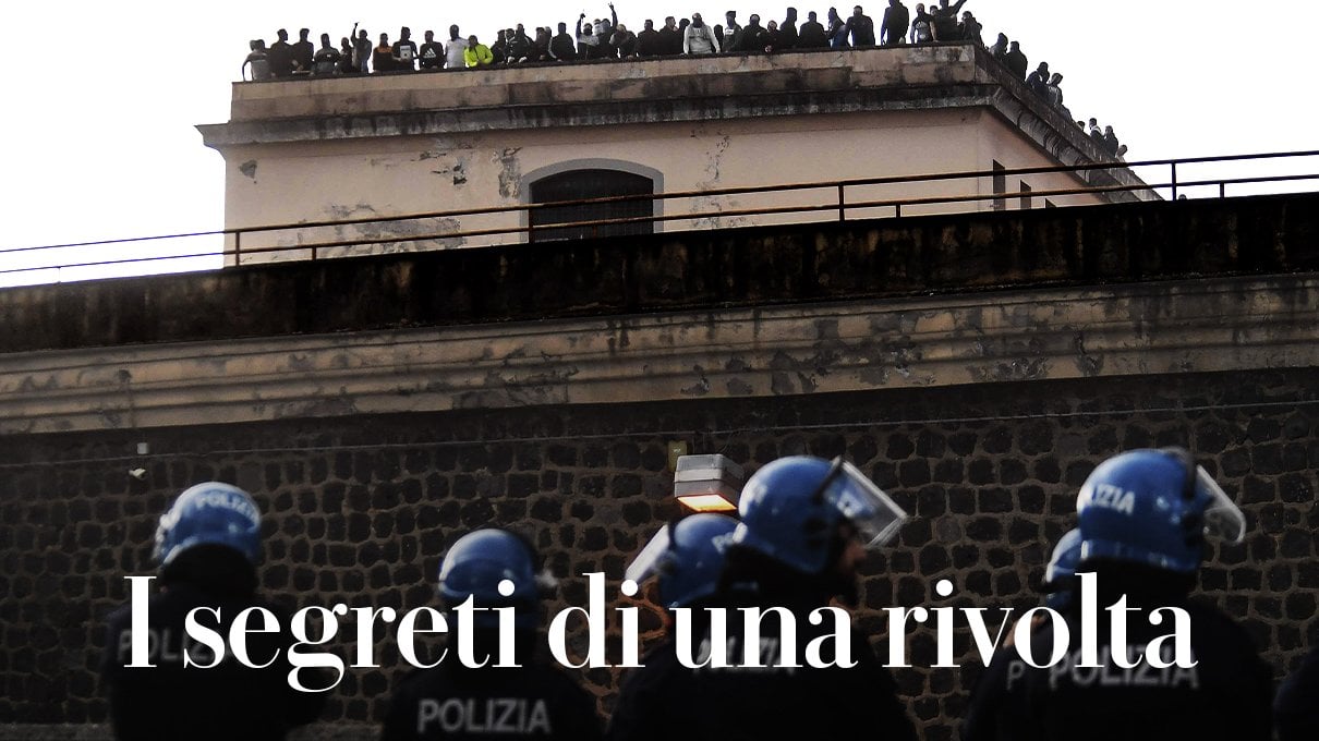 I segreti di una rivolta