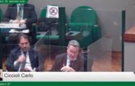 Fdi nelle Marche su posizioni antiabortiste. Il capogruppo Ciccioli: 