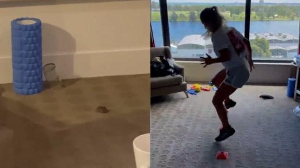 Allenamento col topo: per la tennista un ospite indesiderato in stanza