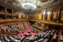L'appello di Shalpy: 