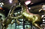Dopo il toro, i cavalli: Di Modica fa un regalo alla sua Vittoria
