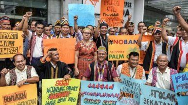 L'olio di palma nel mirino dell'Ue per i biocarburanti. L'ira di Indonesia e Malesia