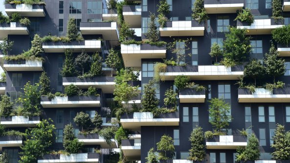 Ecco il nuovo Bauhaus europeo: così rinasce la città del futuro. 