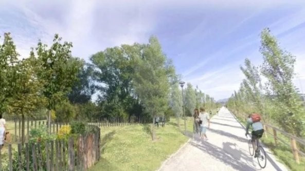 A Bergamo nasce il Bosco della Memoria per le vittime del Covid: parte la raccolta fondi per realizzarlo