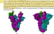 Covid, ecco la dieta che può ostacolare il virus