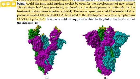 Covid, ecco la dieta che può ostacolare il virus