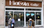 Torino: chiude il Miagola caffè, primo bar per gatti aperto in Italia