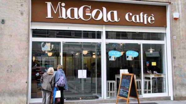 Torino: chiude il Miagola caffè, primo bar per gatti aperto in Italia