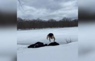 Il campione di Ufc si tuffa nel lago ghiacciato: non è una buona idea