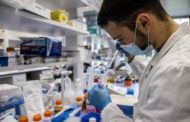 Coronavirus, gli anticorpi monoclonali usati allo Spallanzani: 