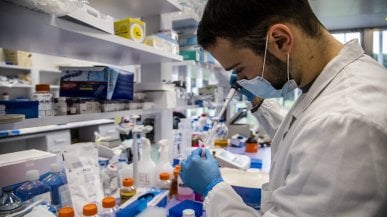 Coronavirus, gli anticorpi monoclonali usati allo Spallanzani: 