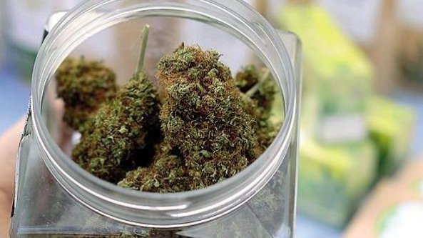 Parma, cresce la vendita a domicilio di cannabis light