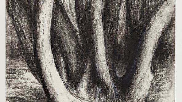 Museo Novecento: l'incontro tra generazioni davanti all’arte di Henry Moore