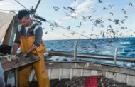 Dalla pesca alle biomasse, la ricetta per far crescere la bioeconomia nella regione Adriatico-Ionica