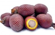 Camu-camu & Co: i super fruit dall’Amazzonia che fanno tendenza a tavola