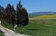 Provincia Siena 