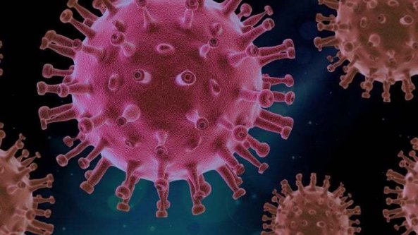 Covid, tutti addosso all'Aifa: perché non autorizza i monoclonali?