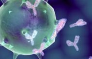 Covid, l'Aifa dà il via libera agli anticorpi monoclonali