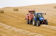 L'inatteso effetto della pandemia sull'export del Mezzogiorno
