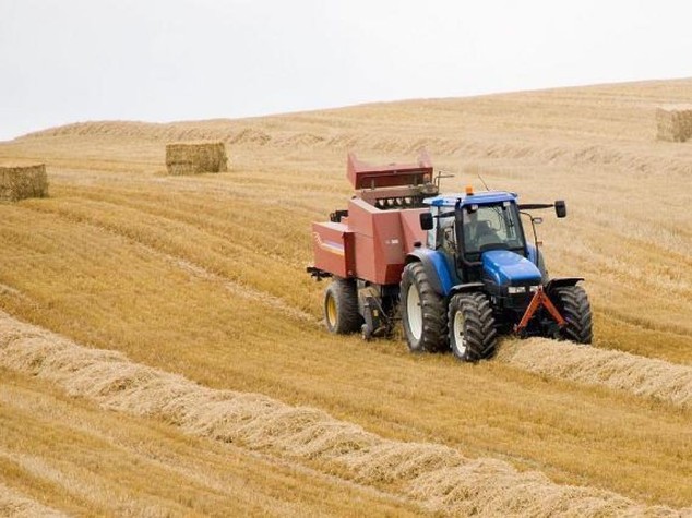 L'inatteso effetto della pandemia sull'export del Mezzogiorno