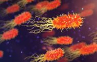 Ecco cosa succede ai batteri: resistono di più agli antibiotici