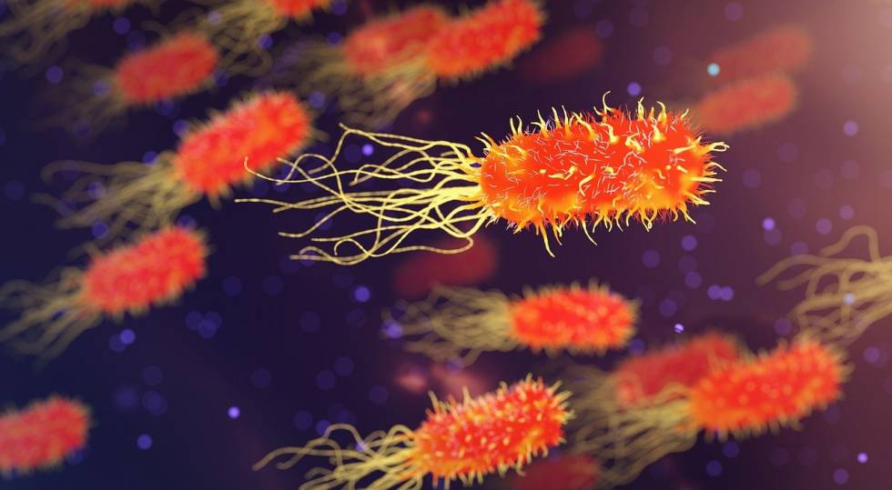Ecco cosa succede ai batteri: resistono di più agli antibiotici