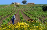 In arrivo il sole e un assaggio di primavera, ma nel week end tornerà il maltempo