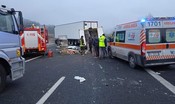 Due volontari che salvavano cani e gatti sono morti in un incidente