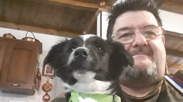La lunga attesa di Billy, il cane che aspetta a casa il padrone malato di Covid