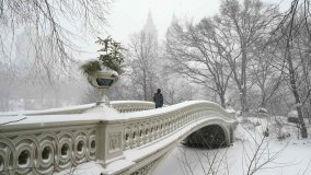 New York sotto la tempesta di neve Orlena: sospese le vaccinazioni