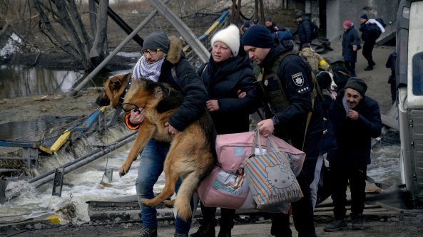 In Ucraina lo sguardo dei cani nella guerra degli umani