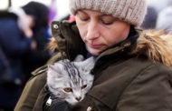 Non solo umani. L’amore degli animali in tempo di guerra