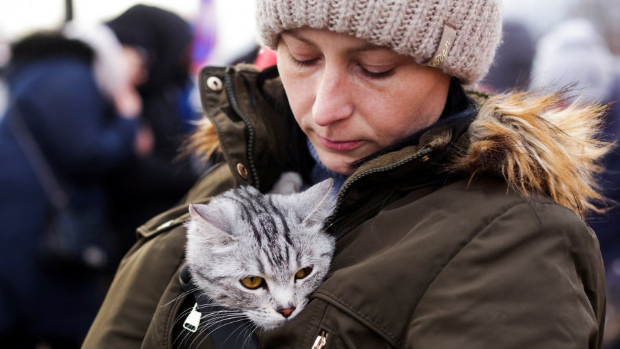 Non solo umani. L’amore degli animali in tempo di guerra