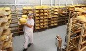 Le conseguenze delle sanzioni russe sul Made in Italy