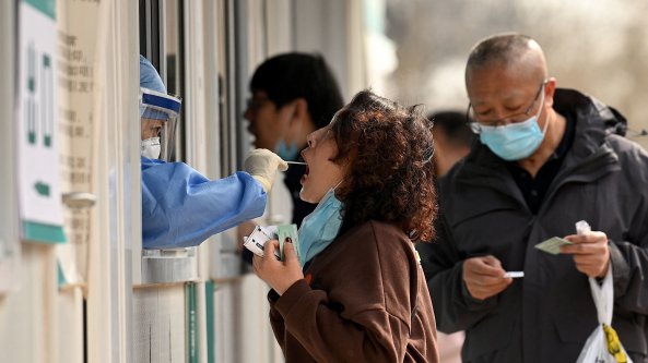 Covid: spunta Deltamicron, il virus ibrido e velocissimo