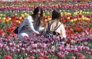 Previsioni meteo, Primavera in falsa partenza