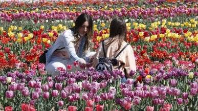 Previsioni meteo, Primavera in falsa partenza