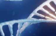 Scoperti nuovi strumenti per decifrare il genoma