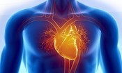 Cominciata la sperimentazione del 'vaccino' anti-infarto