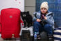 Il dramma dei profughi che scappano con i loro animali