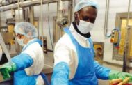 Assegno familiare anche agli extracomunitari, la sentenza della Consulta