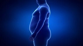 Giornata mondiale obesità, cosa serve per arginare l'epidemia