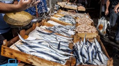 Guerra in Ucraina, pesce alle stelle. 