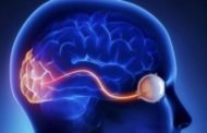 Settimana mondiale del glaucoma, per 'salvare' la vista proteggiamo il cervello