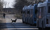 Quadrante: è cominciata l'evacuazione di Mariupol