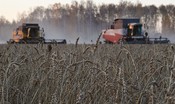 Il piano per non far mancare il pane agli italiani